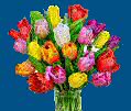 Graphic: Bunch of brightly coloured tulips.